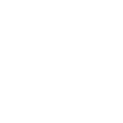 medal (1)