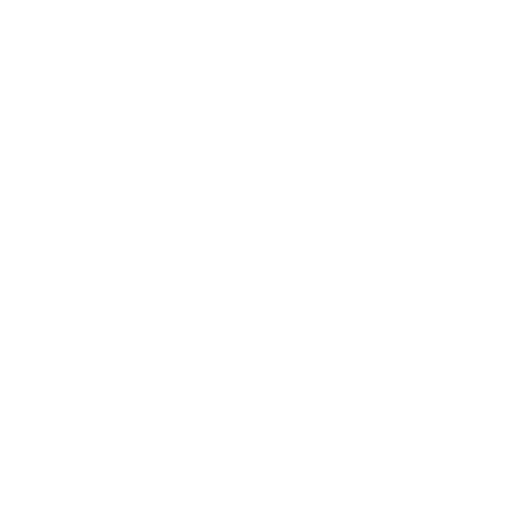 phone (1)